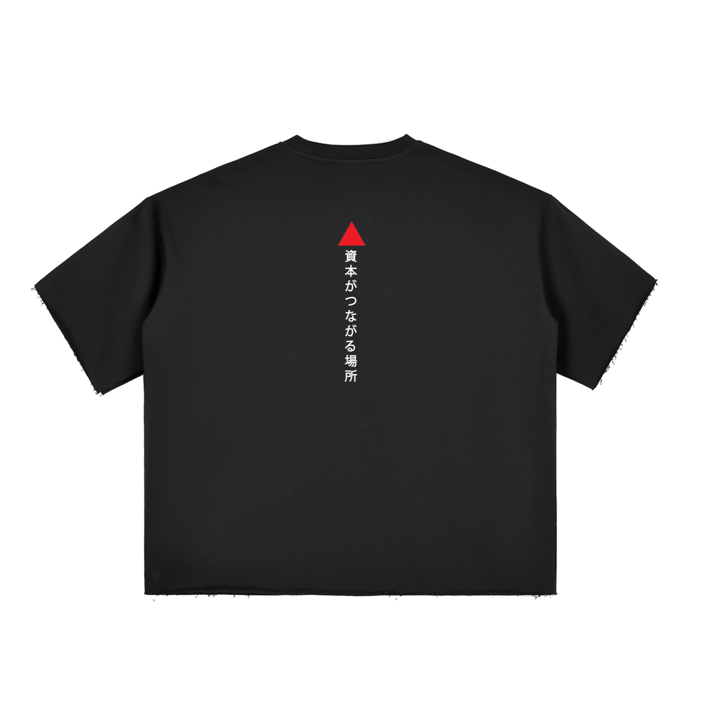 Avalanche Adoption Japanese Streetwear Box Fit Raw-Edge T-Shirt