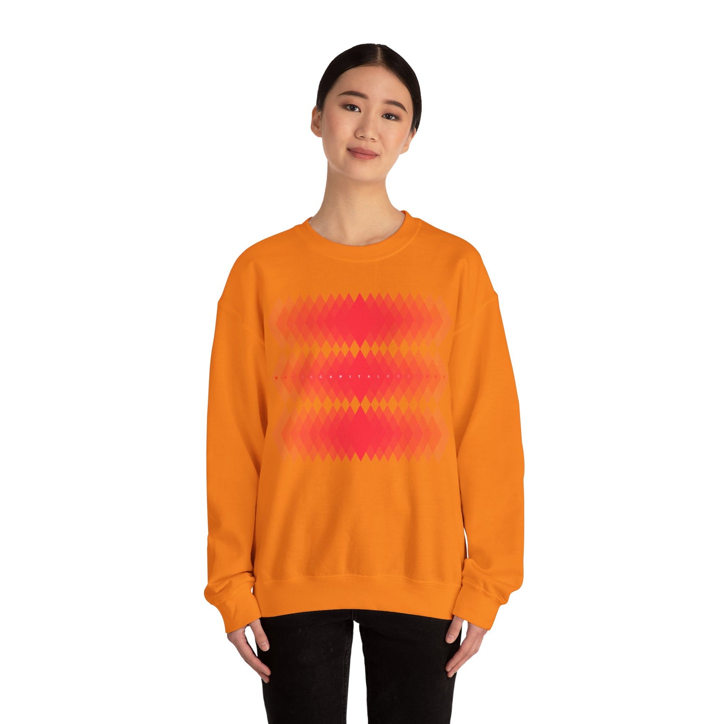 Avalanche Where Capital Connects Optical Illusion Sweatshirt