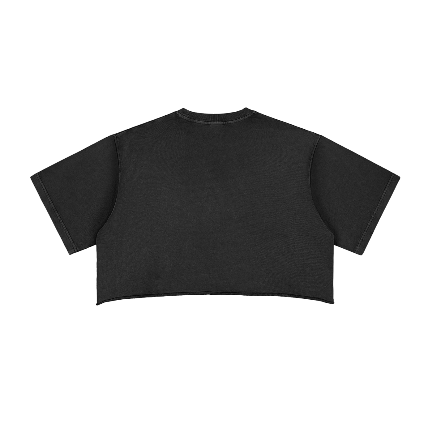 Avalanche Adoption Japanese Streetwear Snow Wash Crop Top