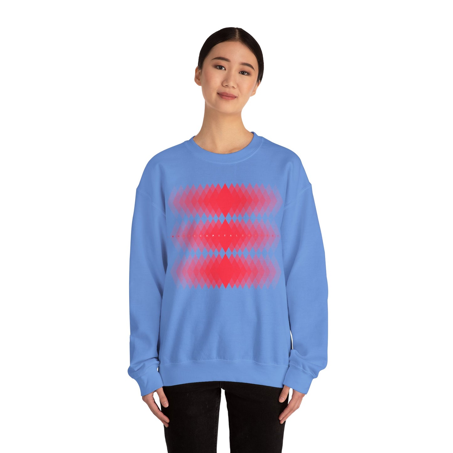 Avalanche Where Capital Connects Optical Illusion Sweatshirt