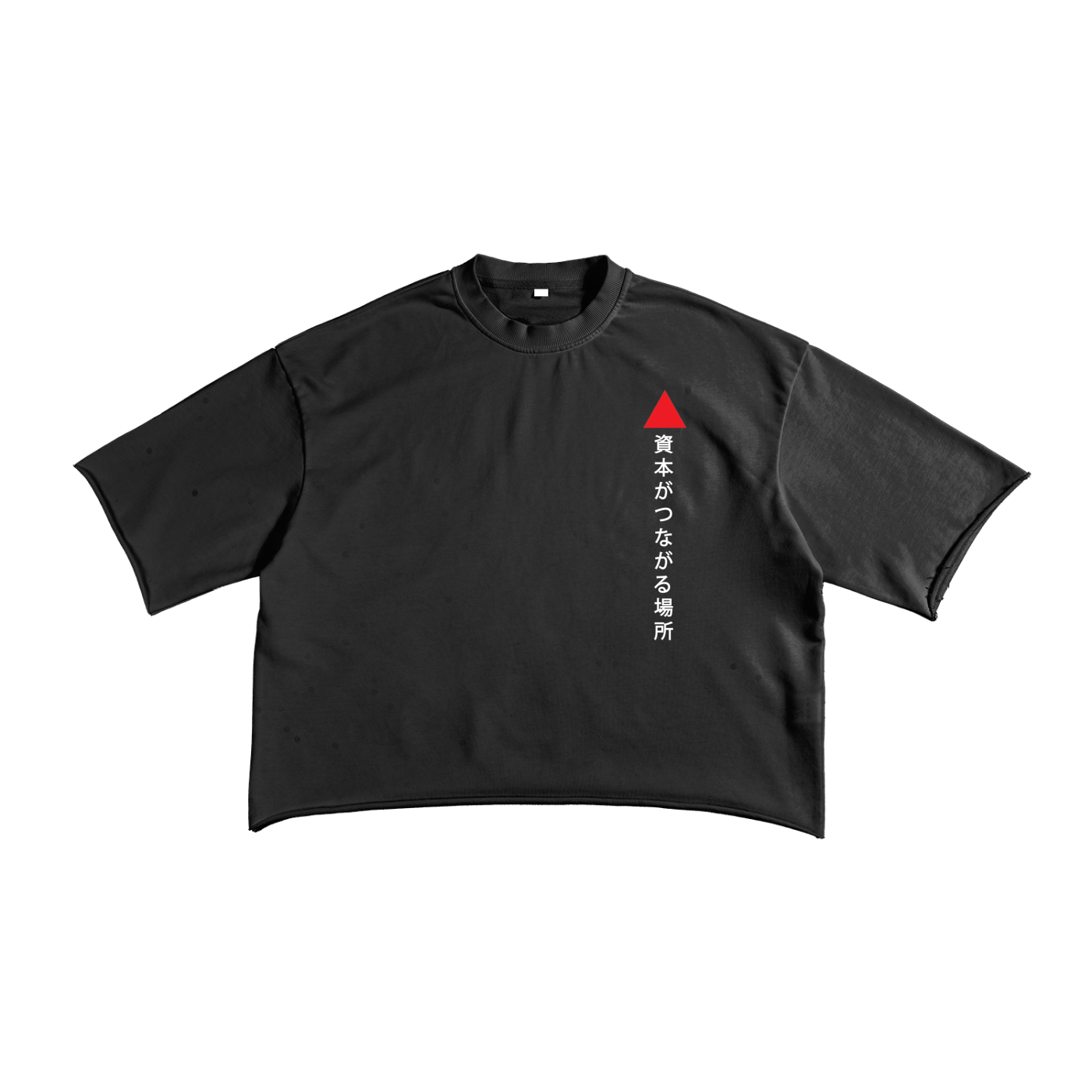 Avalanche Adoption Japanese Streetwear Terry Crop T-Shirt