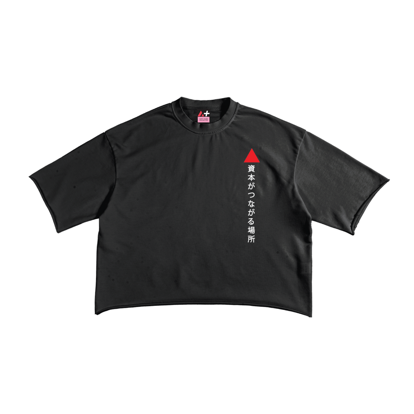 Avalanche Adoption Japanese Streetwear Terry Crop T-Shirt