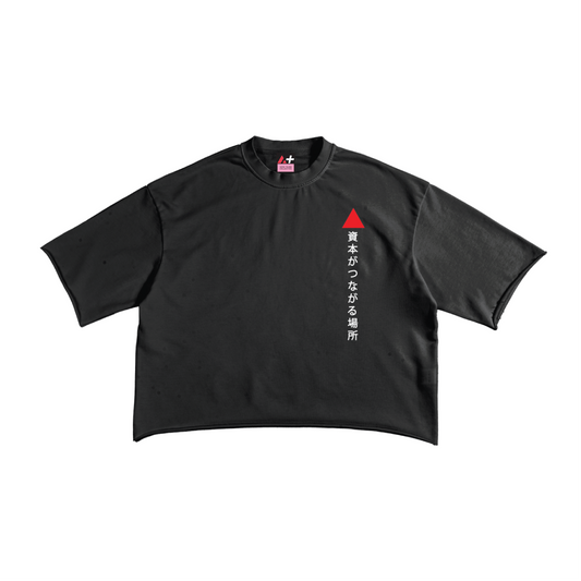 Avalanche Adoption Japanese Streetwear Terry Crop T-Shirt