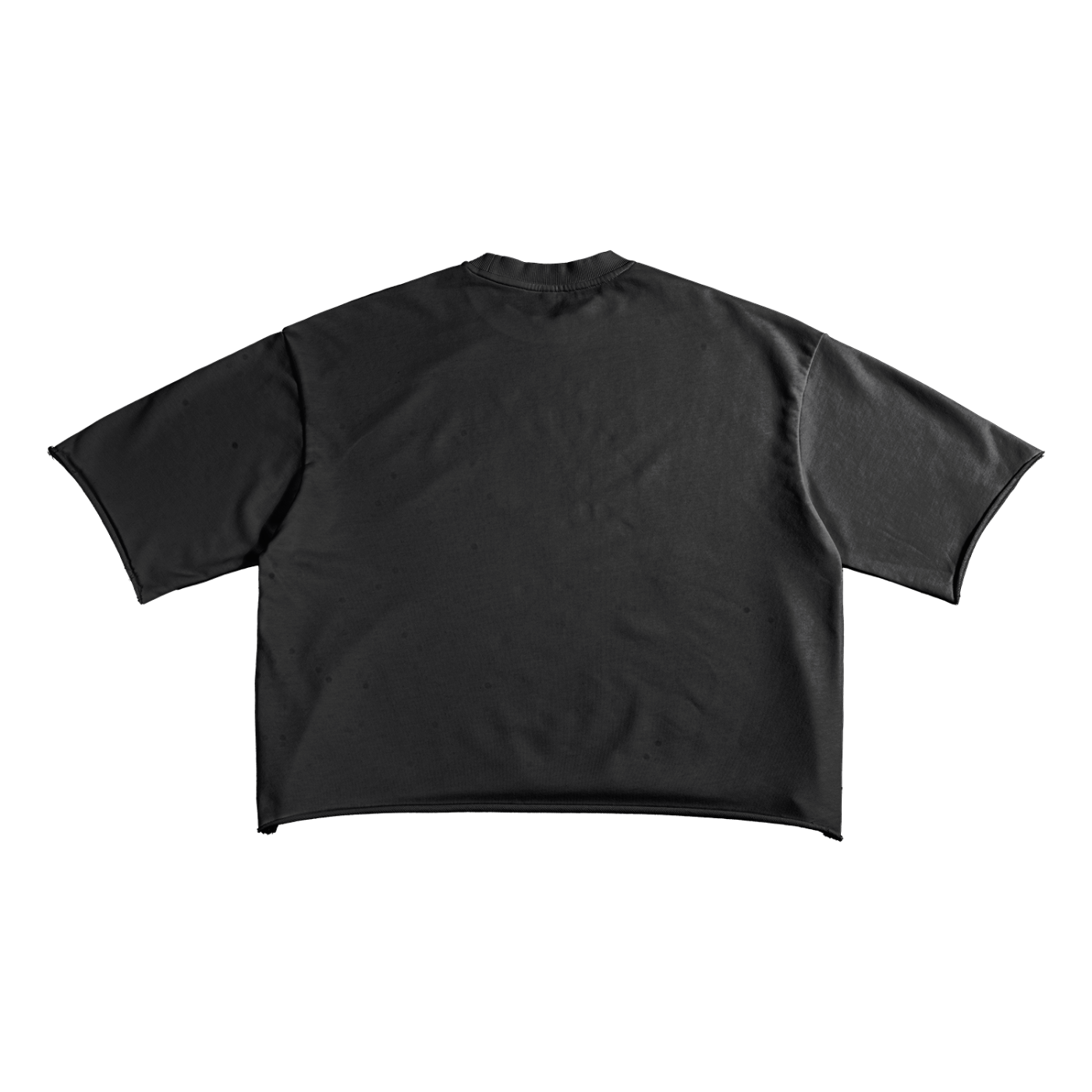 Avalanche Adoption Japanese Streetwear Terry Crop T-Shirt